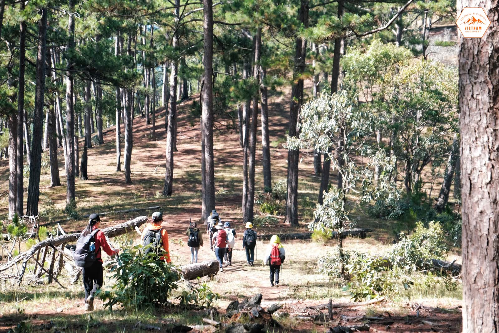 Trekking là gì? Khác hiking và leo núi ở đâu