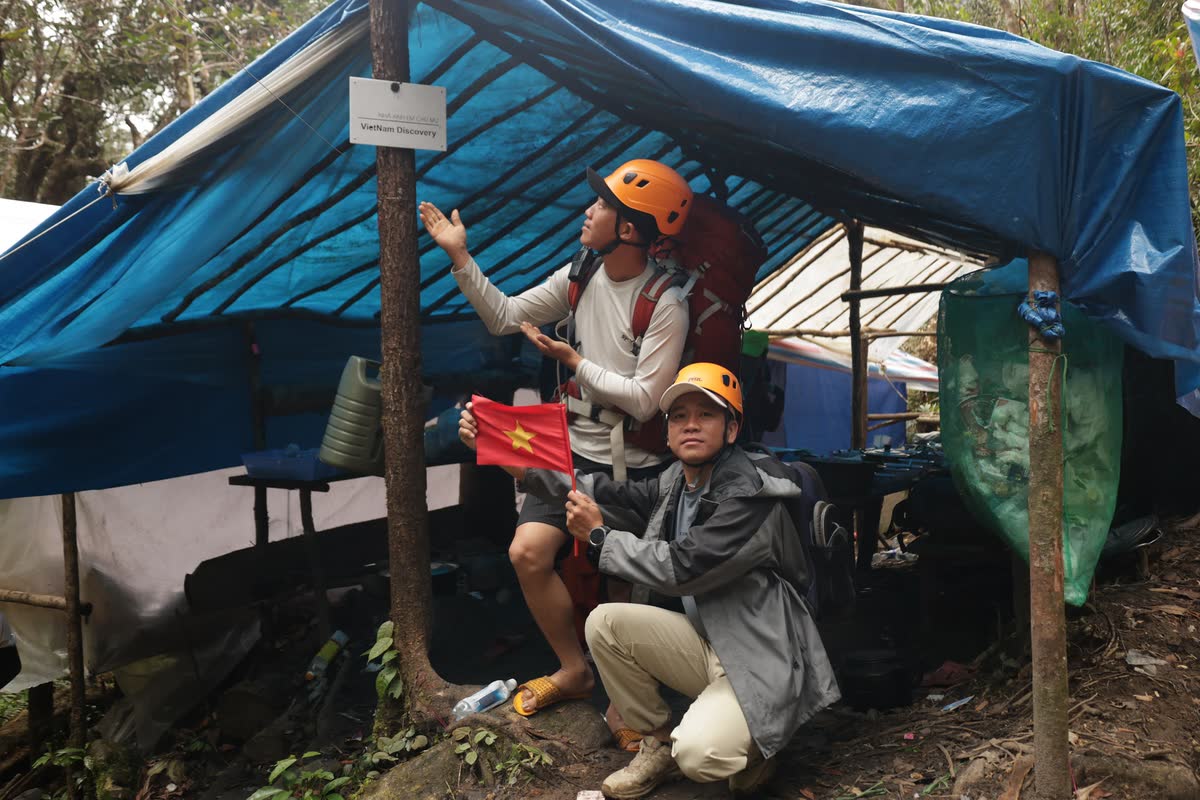 Khu trại dựng bạt giữa rừng.