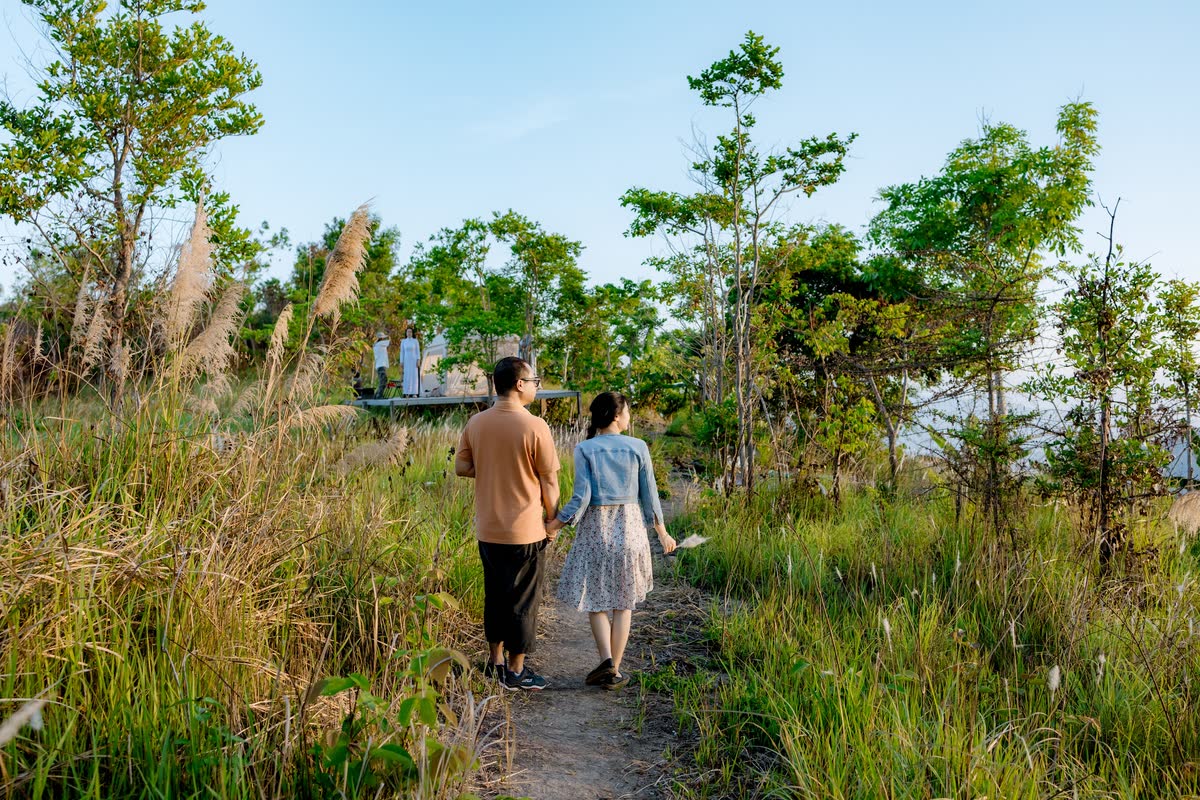 Đi dọc lối mòn giữa cỏ lau tới khu lều.