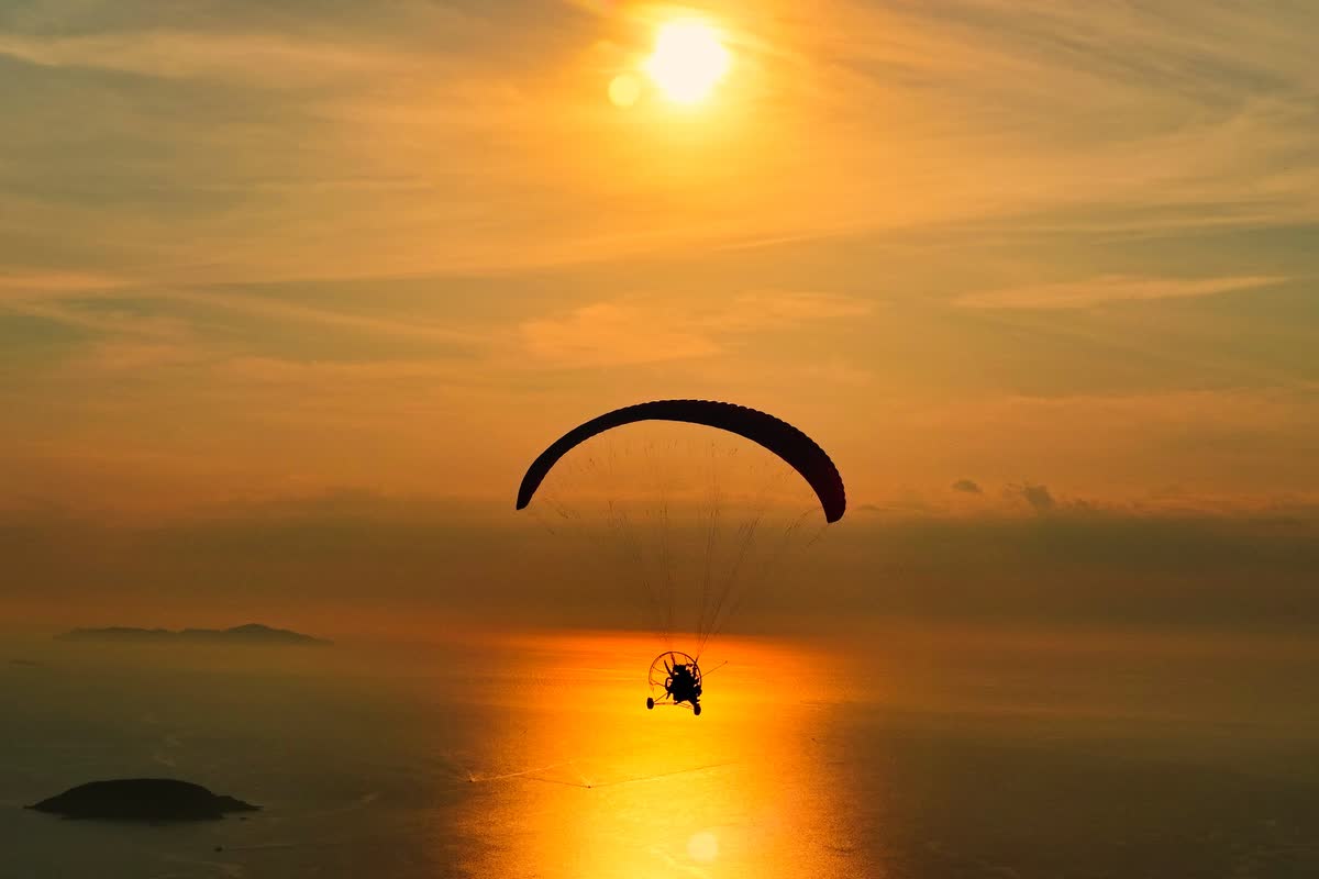 Bay trên mặt biển lúc bình minh.