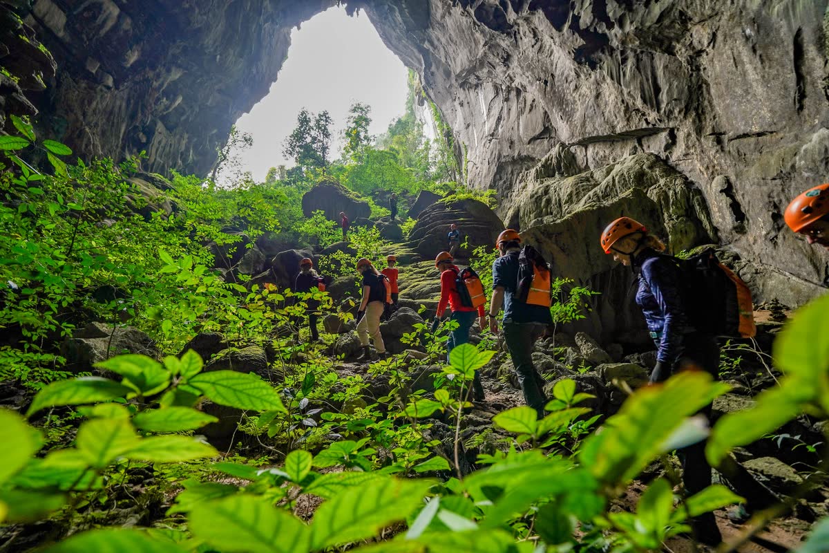 Hang Voi Quảng Bình, thung lũng Ma Đa: 1 ngày cho người mới