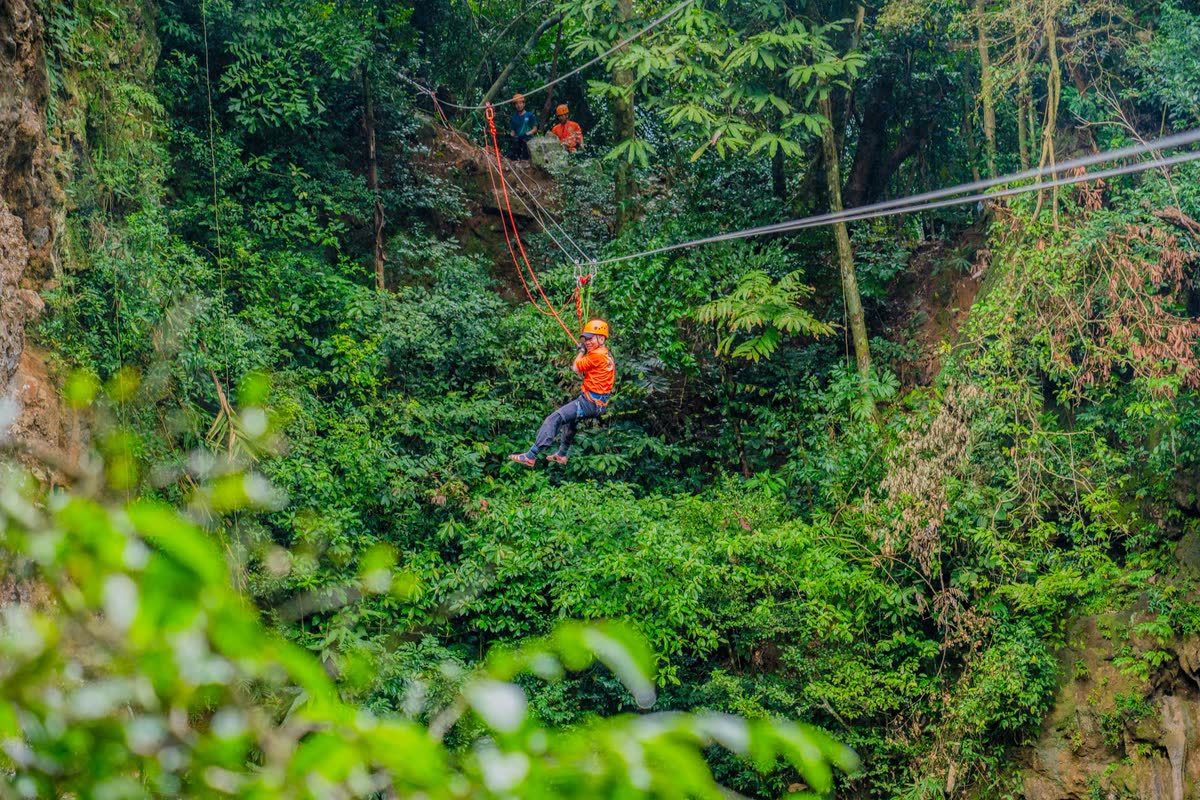Trượt zipline qua rừng.