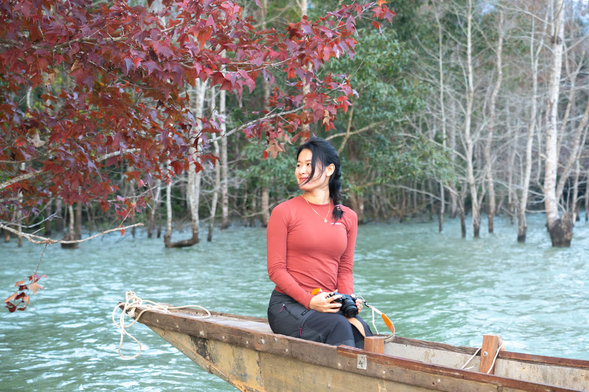 Ngồi trên thuyền gỗ giữa những thân cây mọc trong nước.