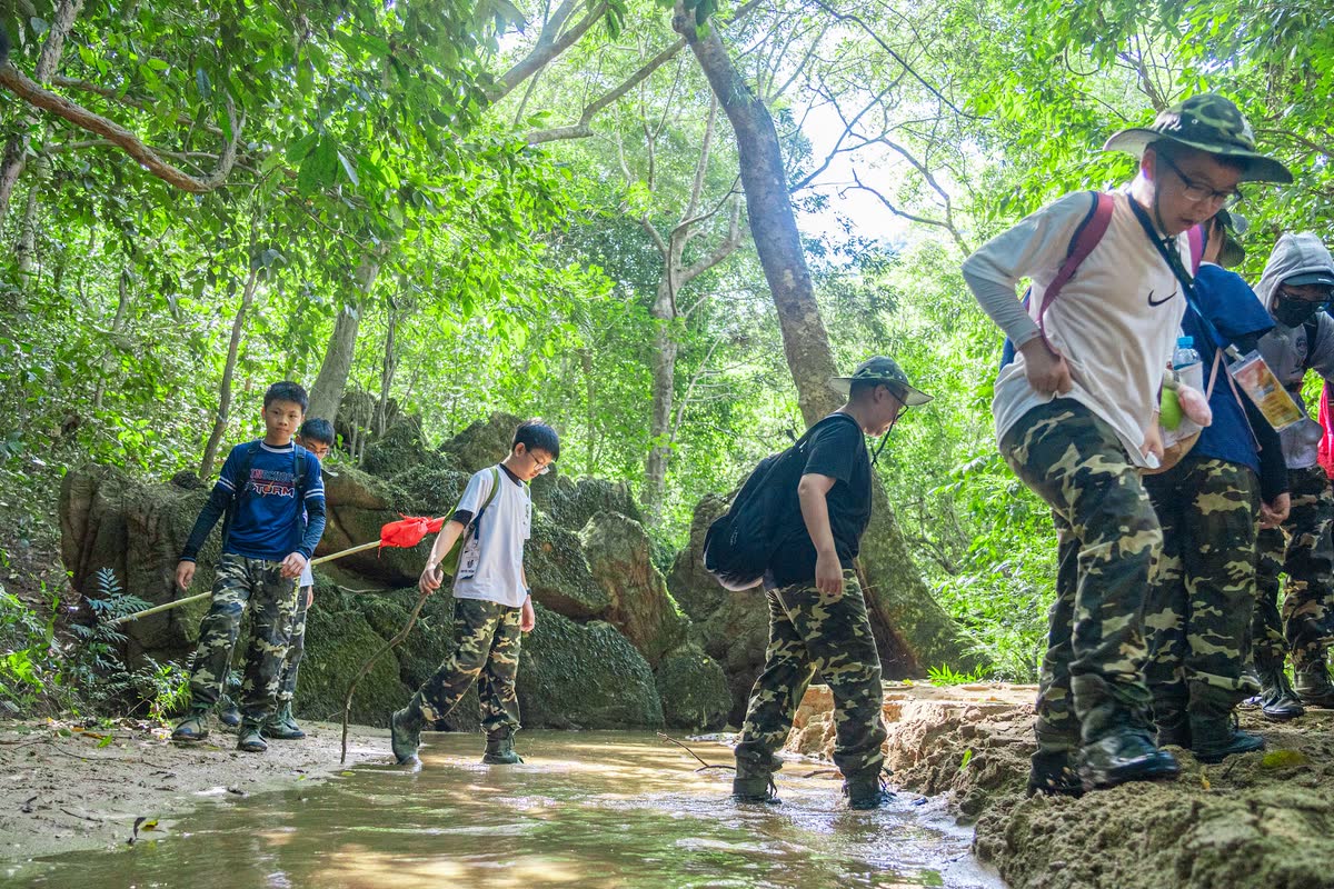 Cả đoàn lội suối trong rừng.