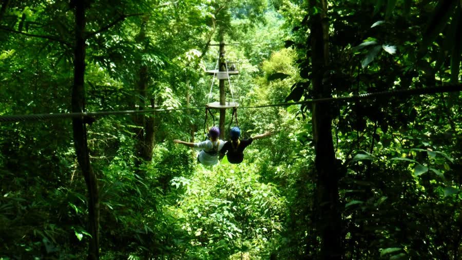 Hành trình Zipline Canopy trong rừng 90 – 120p