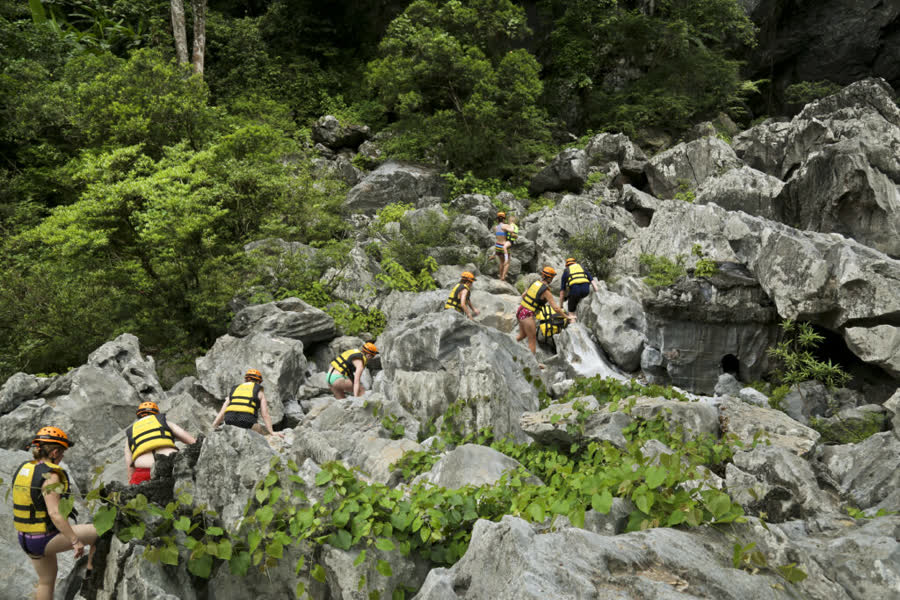 QUẢNG BÌNH Team Building1N -Jungle Boss