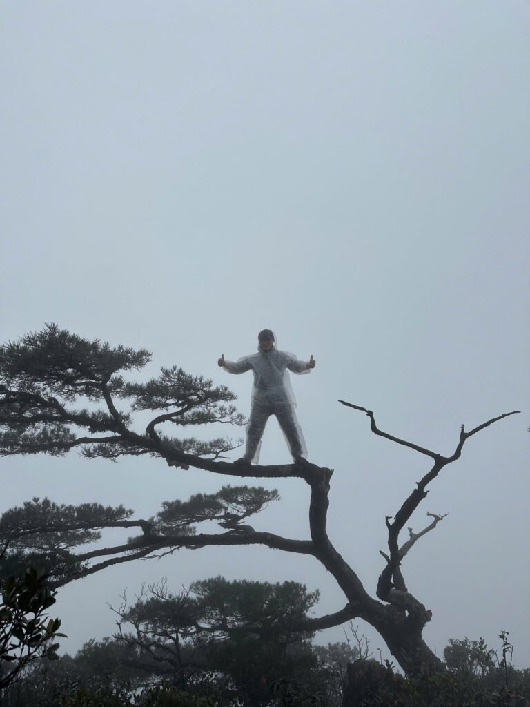 Sương mù dày đặc trên điỉnh