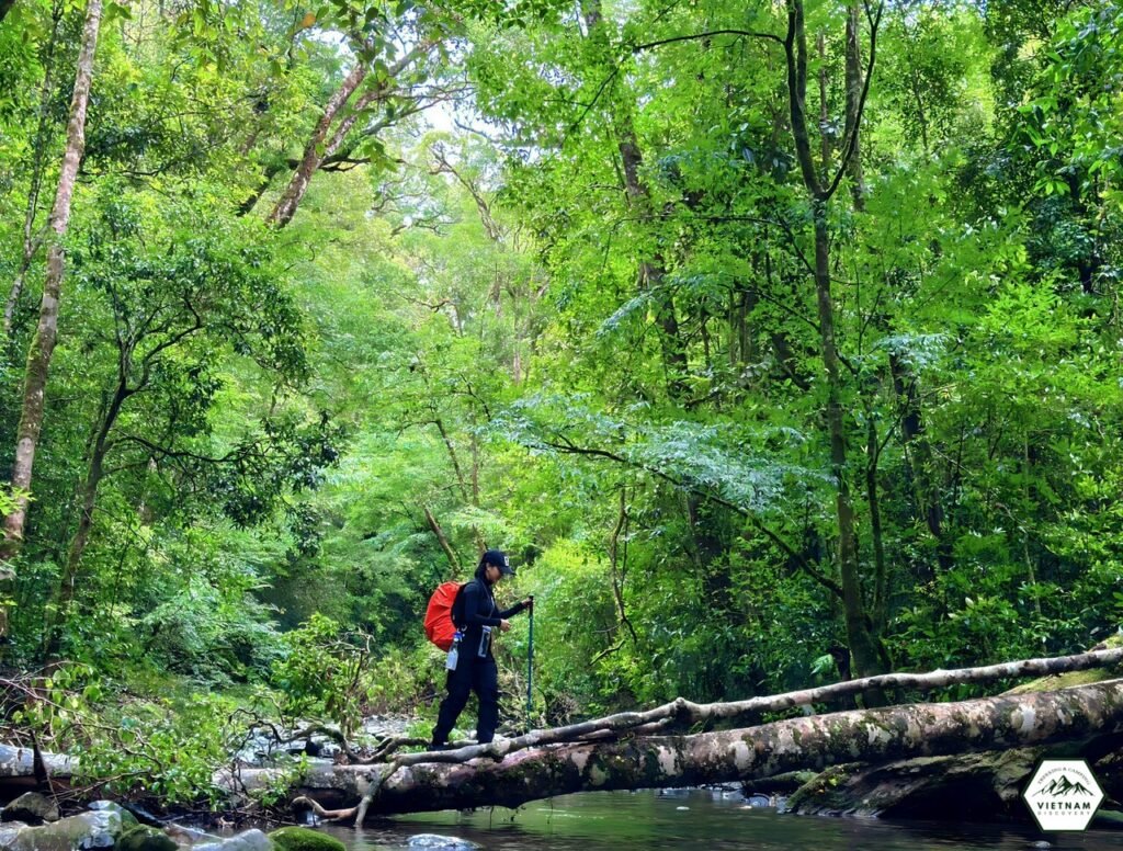 Hành trình trekking Bidoup Tà Giang đầu tiên cô bạn xinh đẹp- nhỏ nhắn
