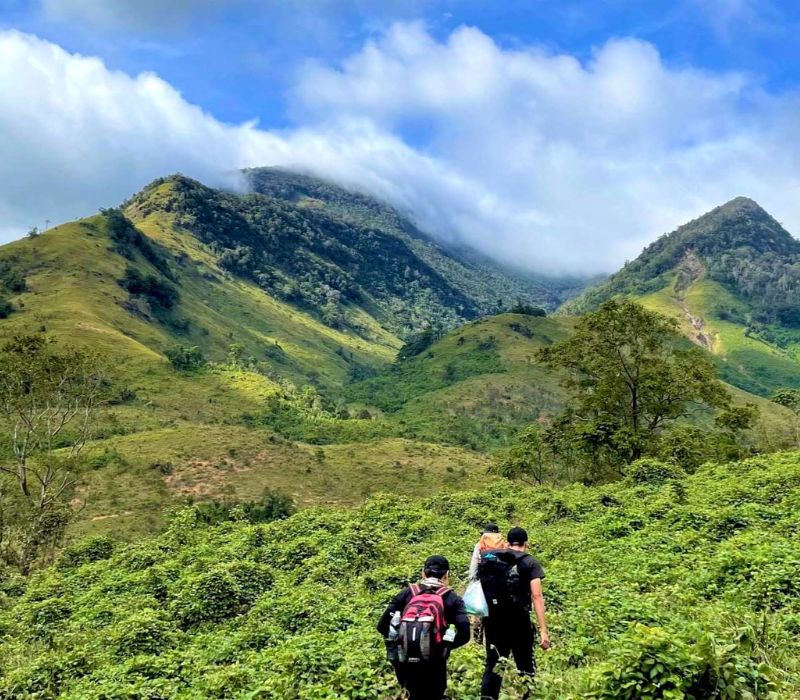 phân biệt Tà Giang và Bidoup - Tà Giang