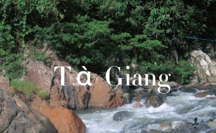 Mùa xanh Tà Giang đã trở lại