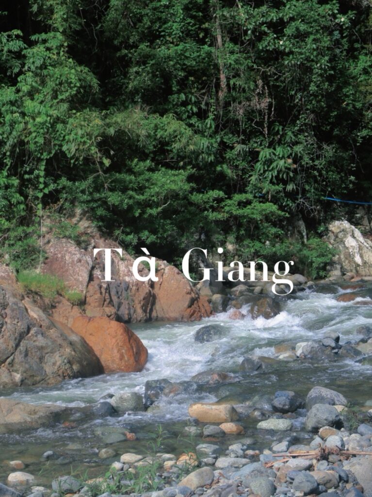 Mùa xanh Tà Giang đã trở lại